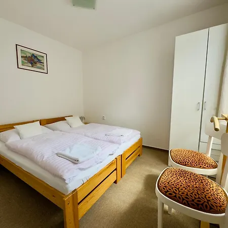 Privat Ruzenka Holiday home *